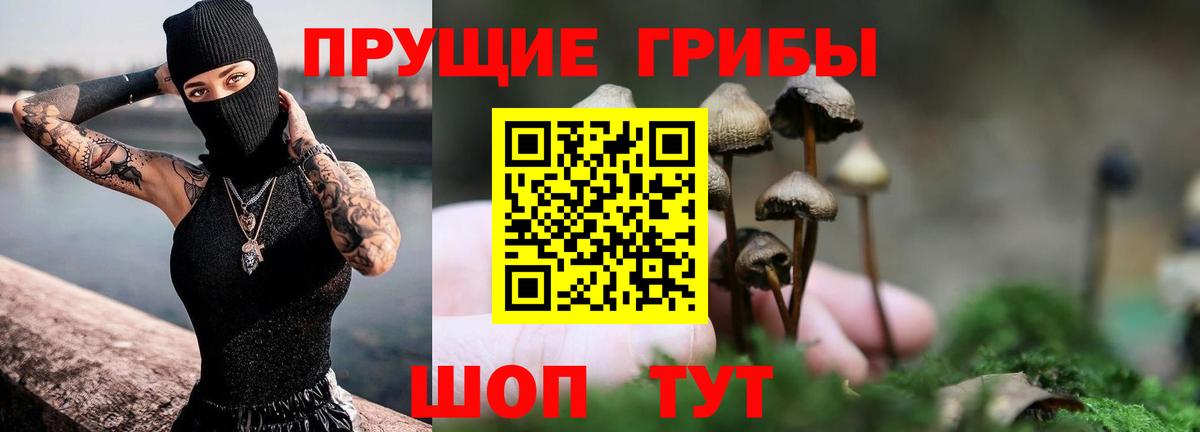 Псилоцибиновые грибы Cubensis  Вход с VPN  Галлюциногенные грибы мицелий  Ивантеевка 