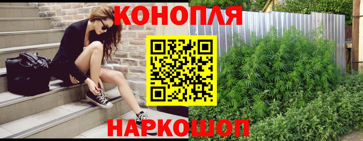 Марихуана планчик Ивантеевка